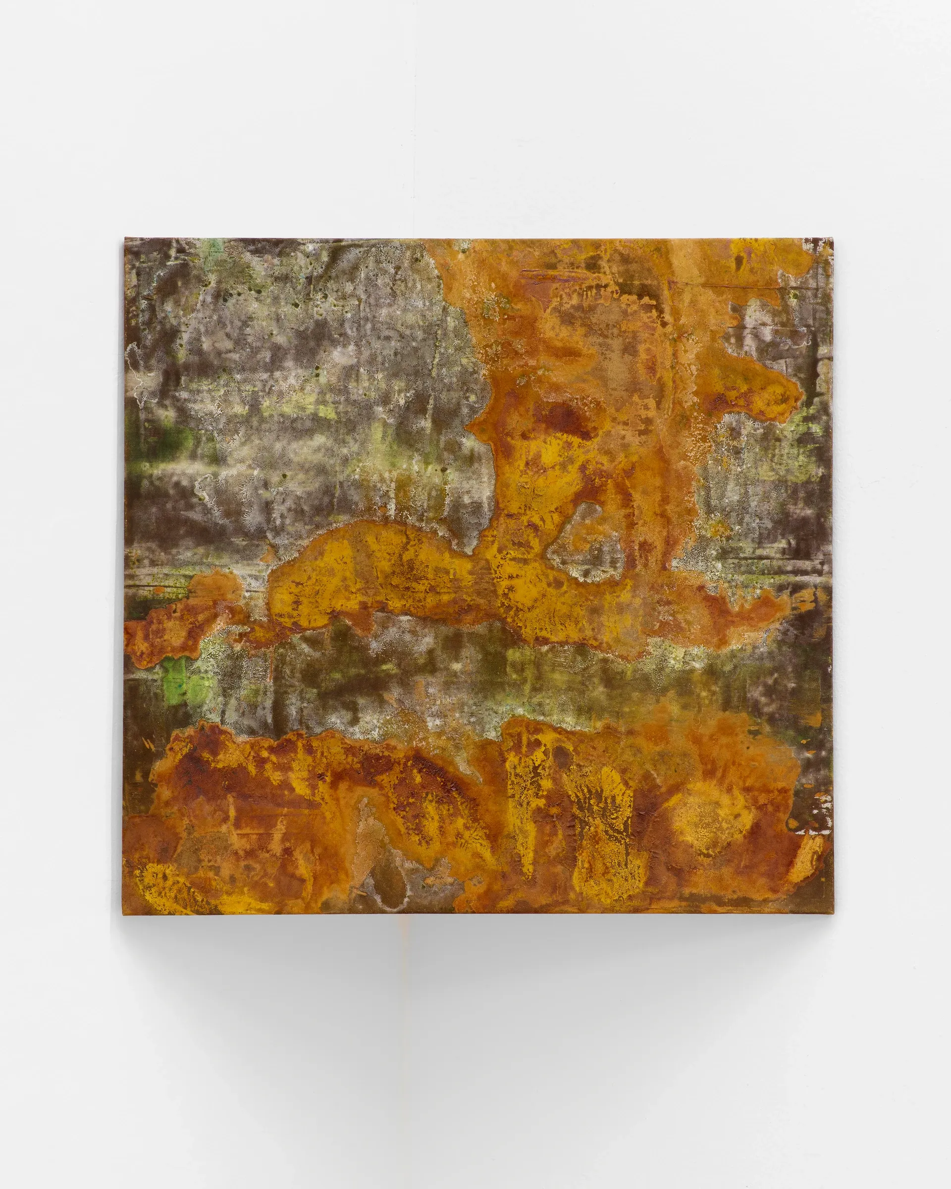 Taylah Hasaballah, INDICATRIX at The Address, Brescia, 2026. Rust-orange, yellow and grey-green square painting.