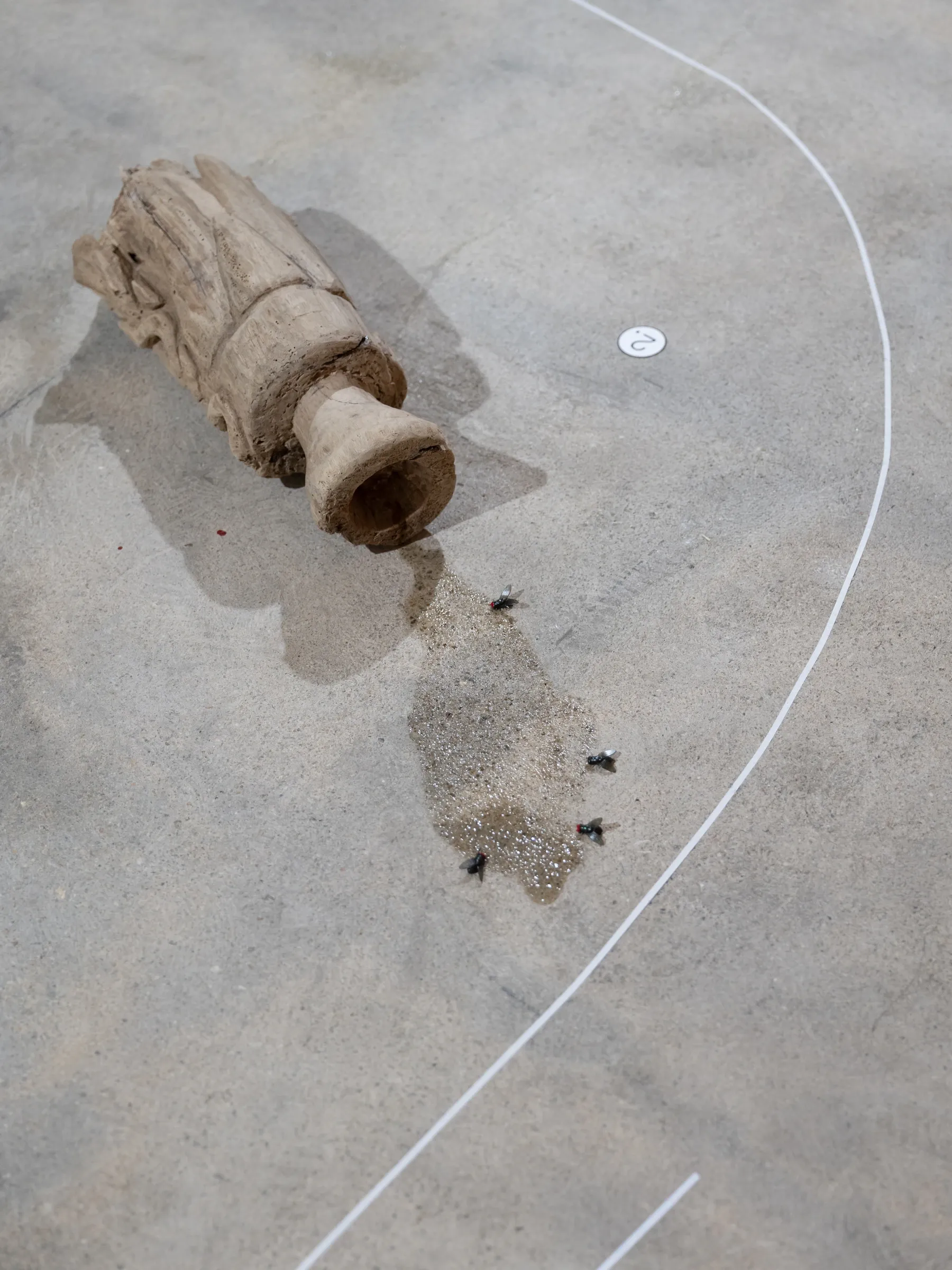Yasy Bachurina, Studiya, Seoul: Weathered wooden cylinder with a hollow end lying in a puddle, black flies on the concrete beside it.