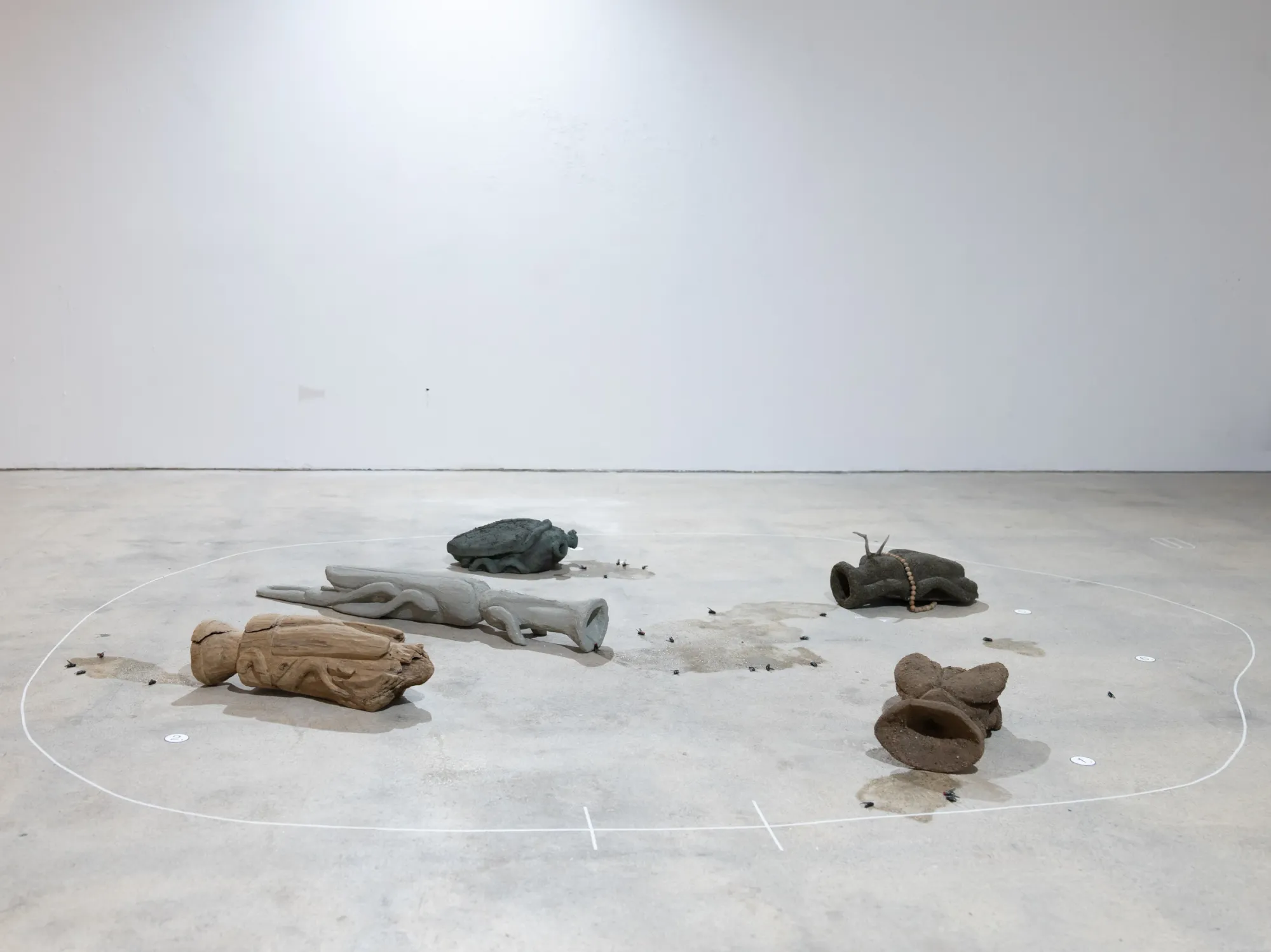 Yasy Bachurina, Studiya, Seoul: Fallen dark, grey and brown objects inside a white line on a concrete floor, with small black flies around them.