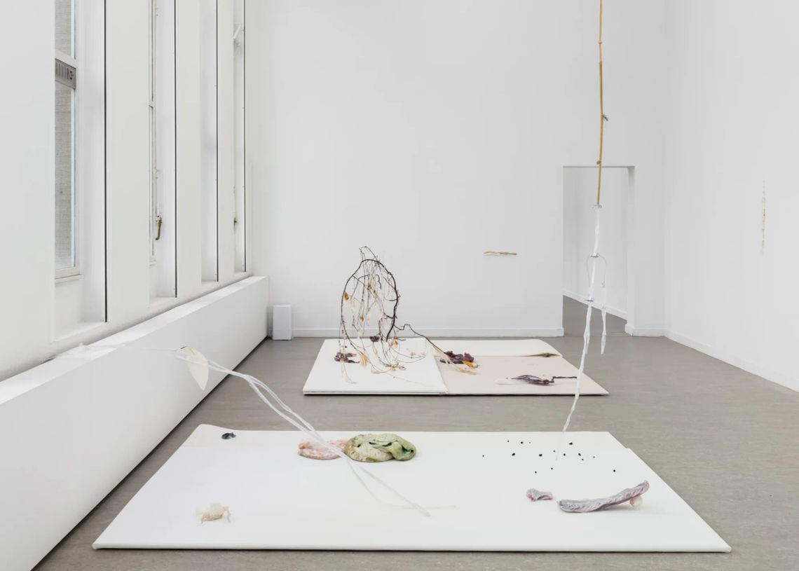 Luca Vanello installation view at Z33 Hasselt showing humidity-responsive materials, plant structures without chlorophyll, and medical prosthetic elements arranged on white panels