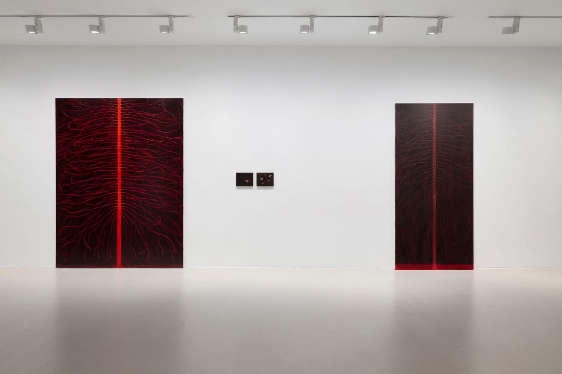 Julia Selin at Galerie Leu Munich presents Sun´s show exhibition submission. Catapult contemporary the new art platform