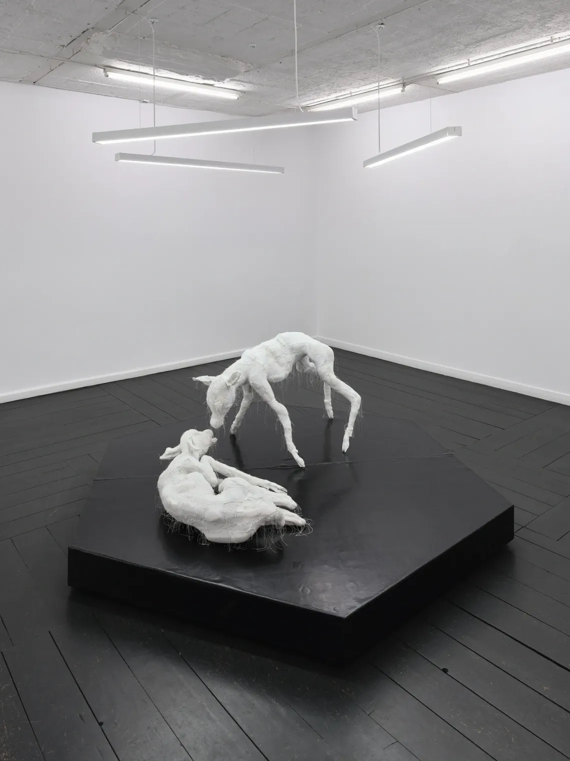 Two white fabric deer sculptures touching noses on a black pentagonal plinth. Jan Baszak, Within and For Each Other, WHOISPOLA, Warsaw, 2026.