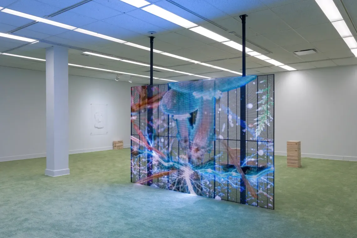 Patrick Bérubé, Et ainsi de suite… (And So On…) at Plein Sud, Longueuil. LED screen showing a blue mushroom image above green carpet.