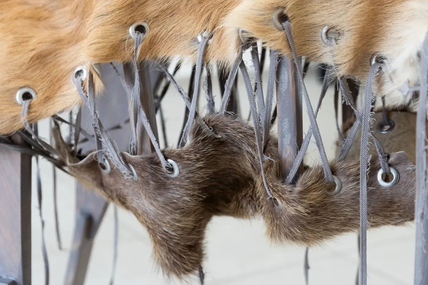 Dead Dogs Don´t Die , at Slug Leipzig and curated by Colette Patterson 7 artists about grief, heal and paradox