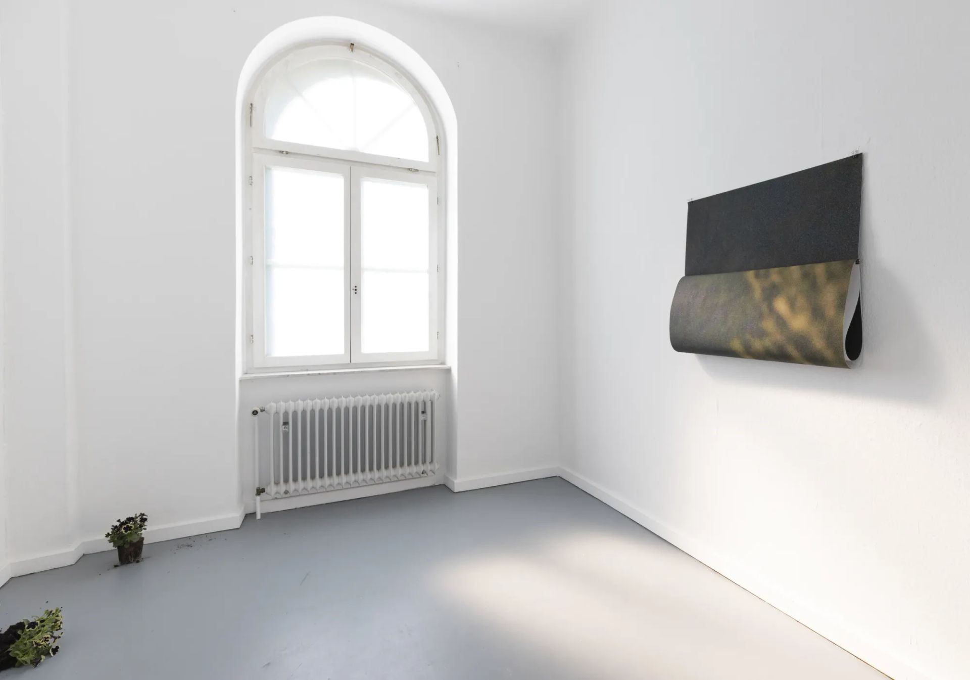 Finja Sander at Kunstverein Wilhelmshöhe - Catapult Exhibiton Submission review