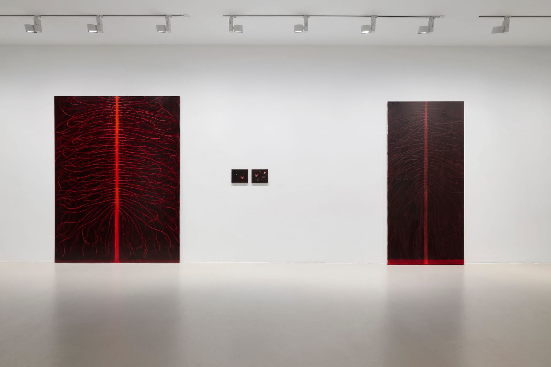 Julia Selin at Galerie Leu Munich presents Sun´s show exhibition submission. Catapult contemporary the new art platform
