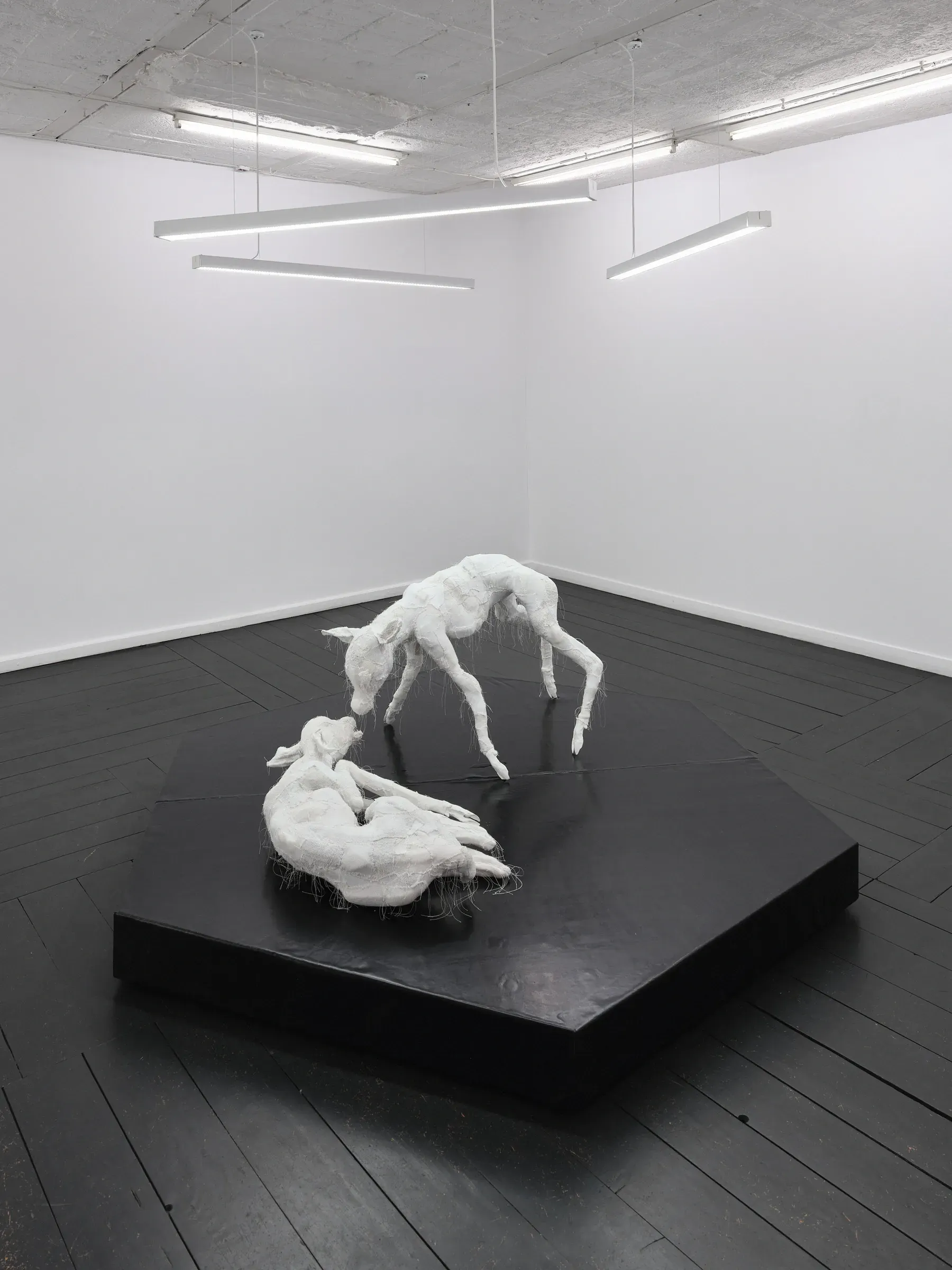 Two white fabric deer sculptures touching noses on a black pentagonal plinth. Jan Baszak, Within and For Each Other, WHOISPOLA, Warsaw, 2026.