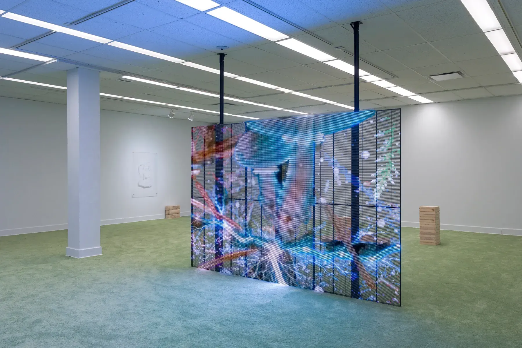 Patrick Bérubé, Et ainsi de suite… (And So On…) at Plein Sud, Longueuil. LED screen showing a blue mushroom image above green carpet.