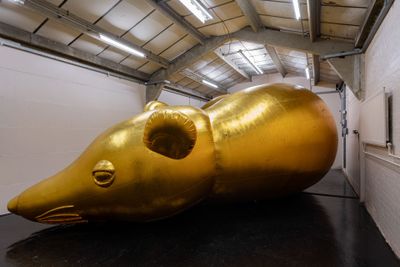 Esben Weile Kjæ installation , ultra large inflatable rat , at st. chats at king´s cross curated by Benjamin orlow