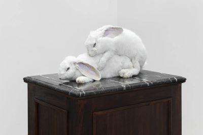 Tudor Ciurescu, VUNU Vienna,  taxidermy rabbits on marble surface atop dark wooden cabinet in elegia exhibition at vunu vienna