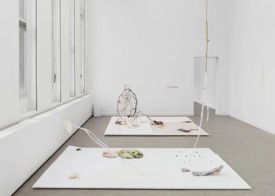Luca Vanello installation view at Z33 Hasselt showing humidity-responsive materials, plant structures without chlorophyll, and medical prosthetic elements arranged on white panels