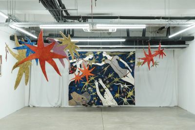 Nata Varazi and Gvantsa Jishkariani, Catalogue of Sensory Data, 2026, and Catalogue of galaxies series , Catapult contemporary art platform 