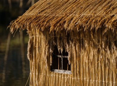 Olivia Rode Hvass, She listens but she can't speak, detail of reed house wall and window, Museet for Samtidskunst, Roskilde — bundled reed stalks and a small square window against dark water.