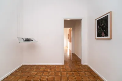 Catapult contemporary Exhibition review of Elena Adamou: Iconographies at primopiano, Montesilvano, 2026. Entrance corridor with a suspended grey velvet relief and a framed purple plant photo