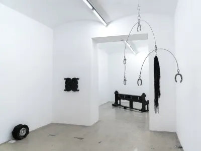 catapult contemporary AUSGEWEIDET / GUTTED, installation view curated byLeonie Holtkamp WAF Gallery Vienna