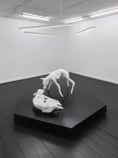 Two white fabric deer sculptures touching noses on a black pentagonal plinth. Jan Baszak, Within and For Each Other, WHOISPOLA, Warsaw, 2026.