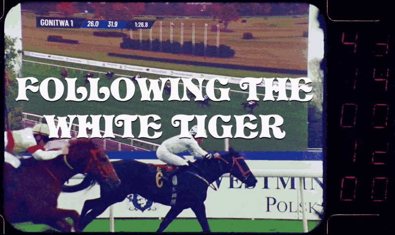 João Maria Gusmão, Zachęta, Warsaw: horse race footage under the title Following the White Tiger.