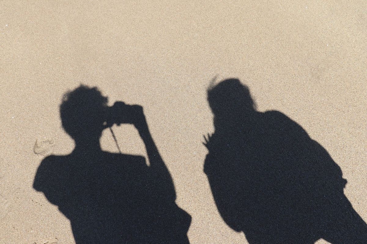 About A Truer Fiction: