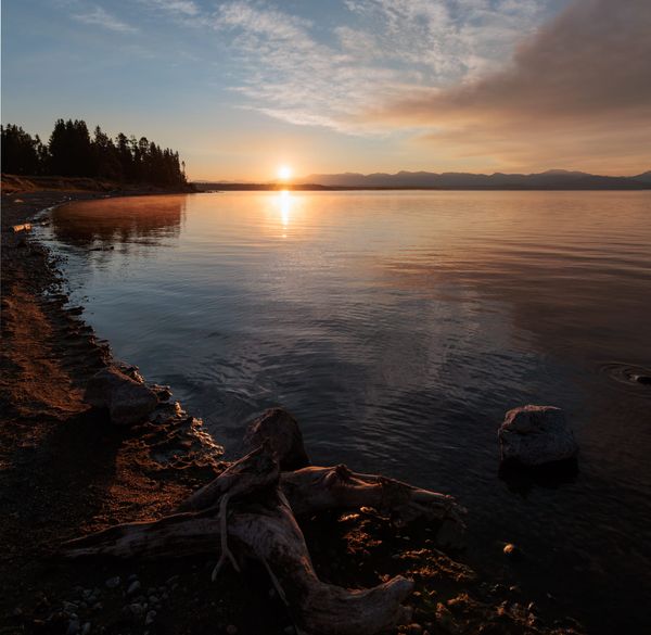 Yellowstone & Grand Teton 2025