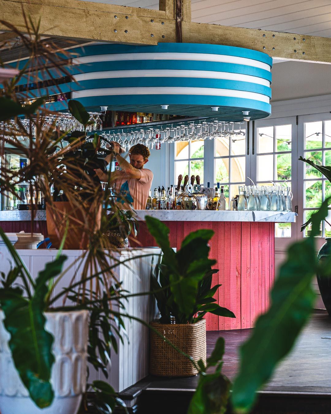 Interior shot of Indigo Oscar showing lots of plants and a bartender mixing cocktails