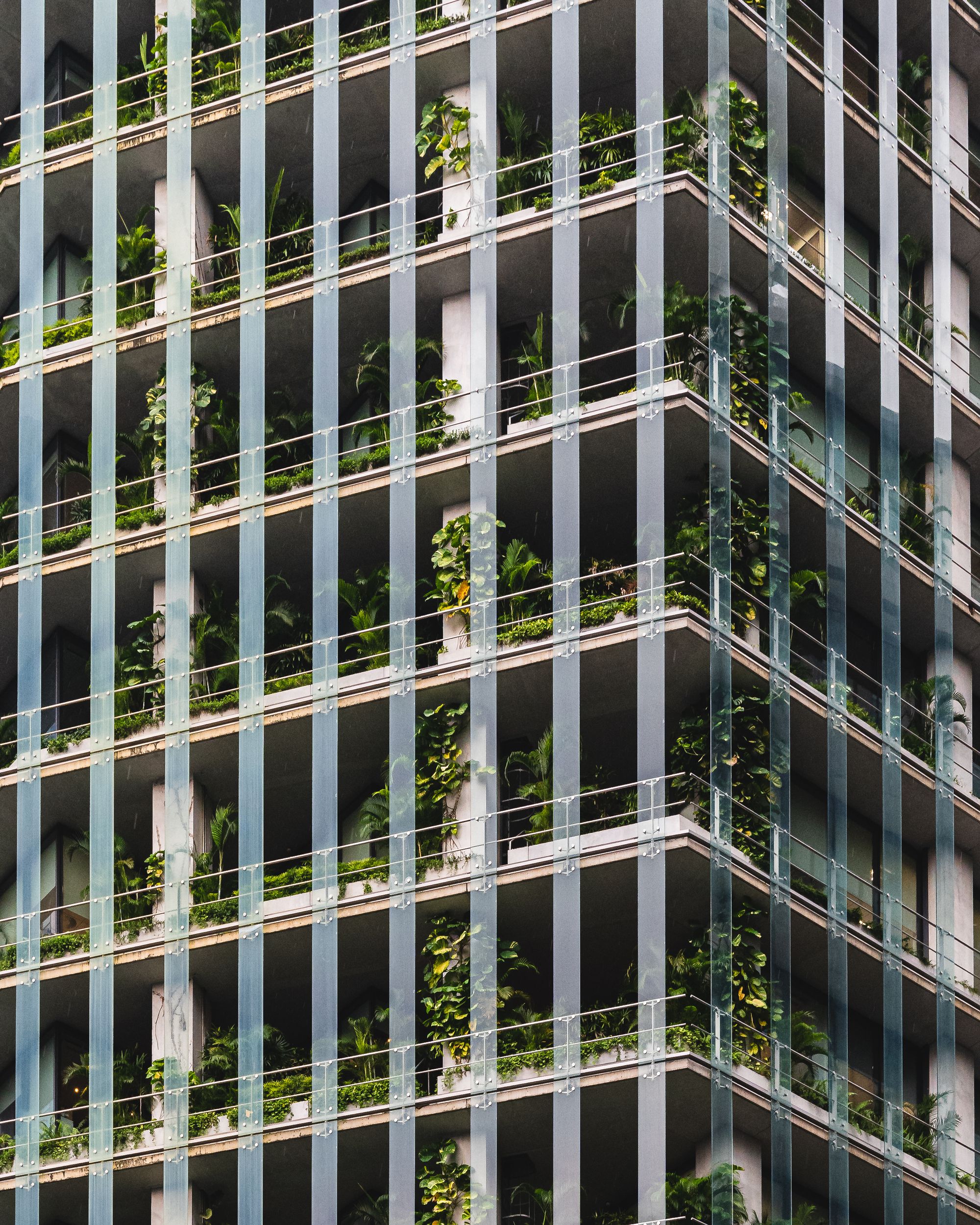 Close up photo of a building with lots of plants growing on it