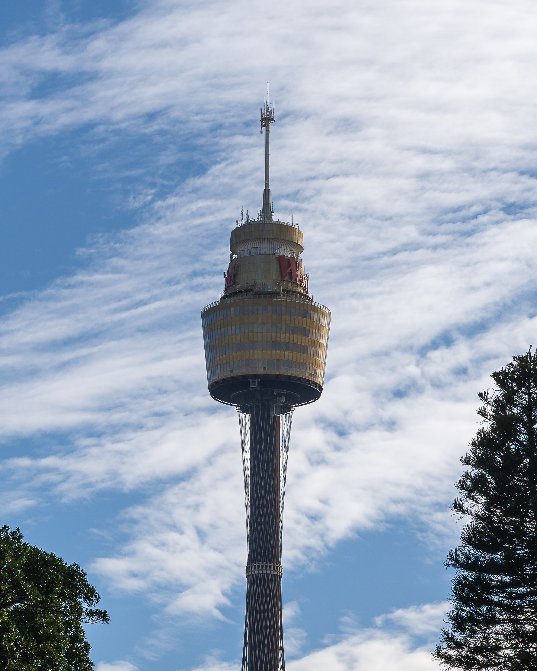 Sydney tower
