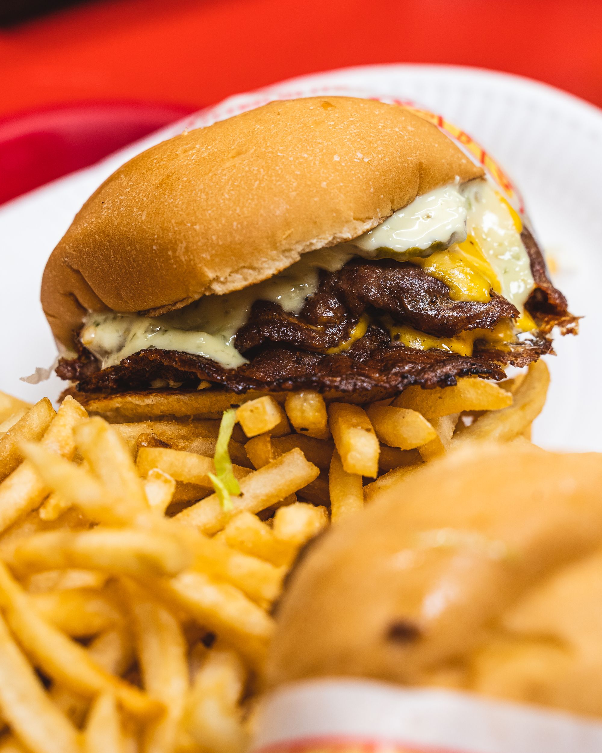 Close up of burger with fries