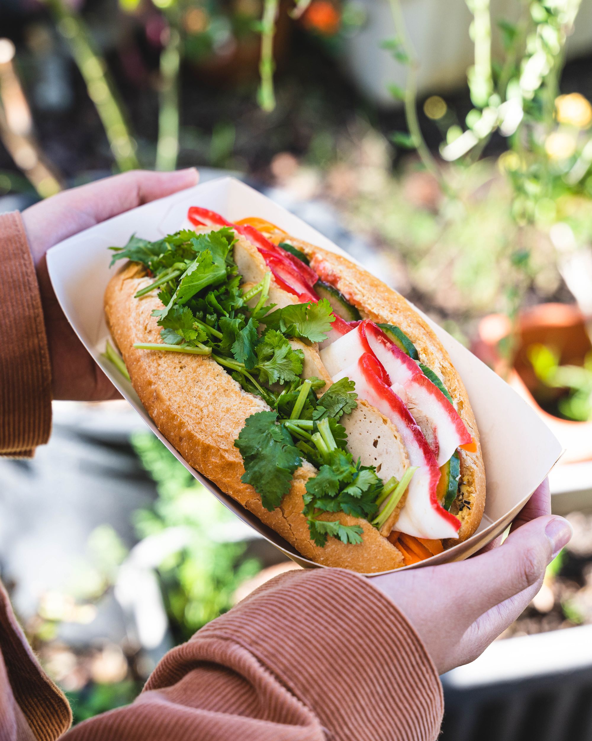 Hand holding banh mi