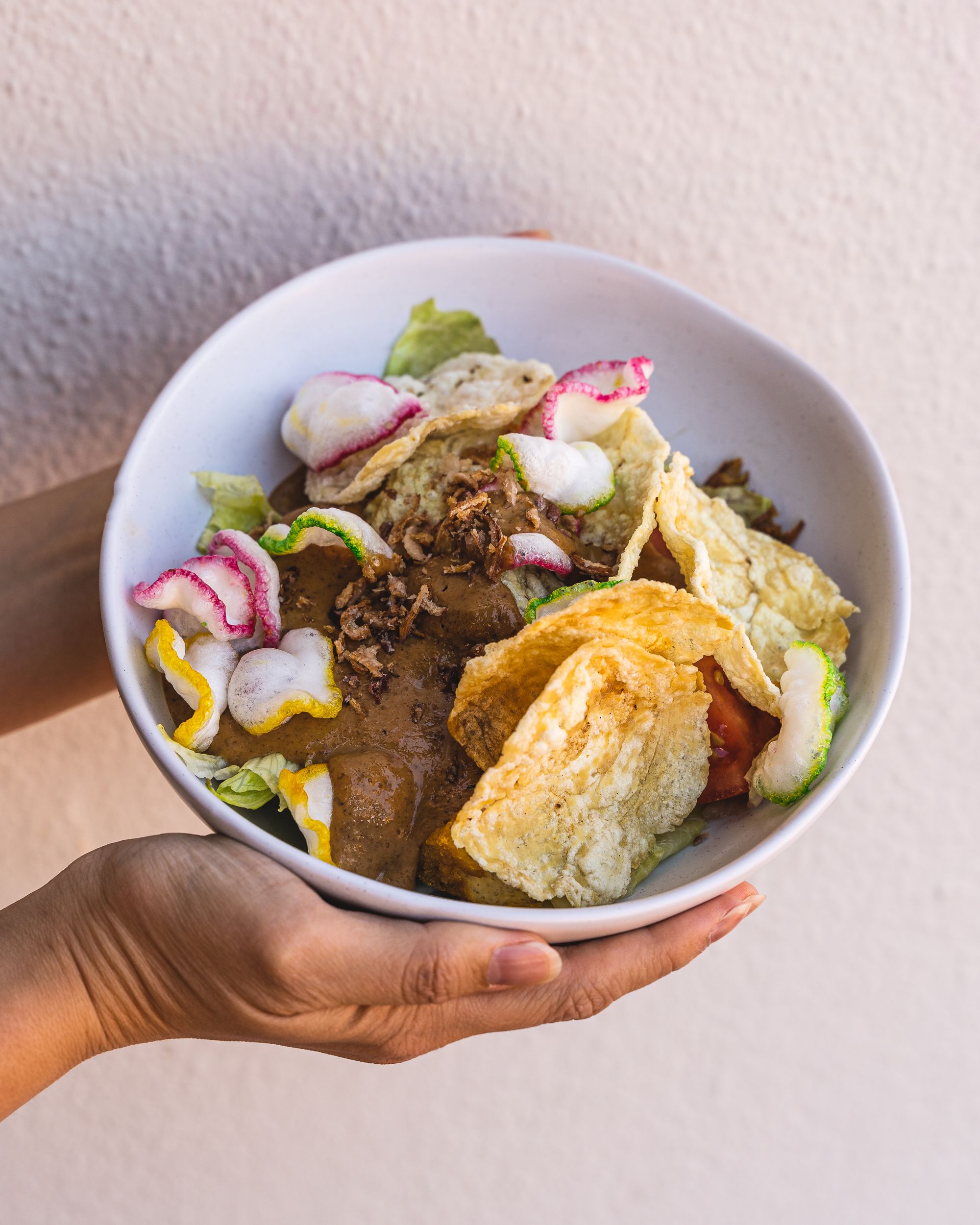 Hand holding a bowl of gado gado