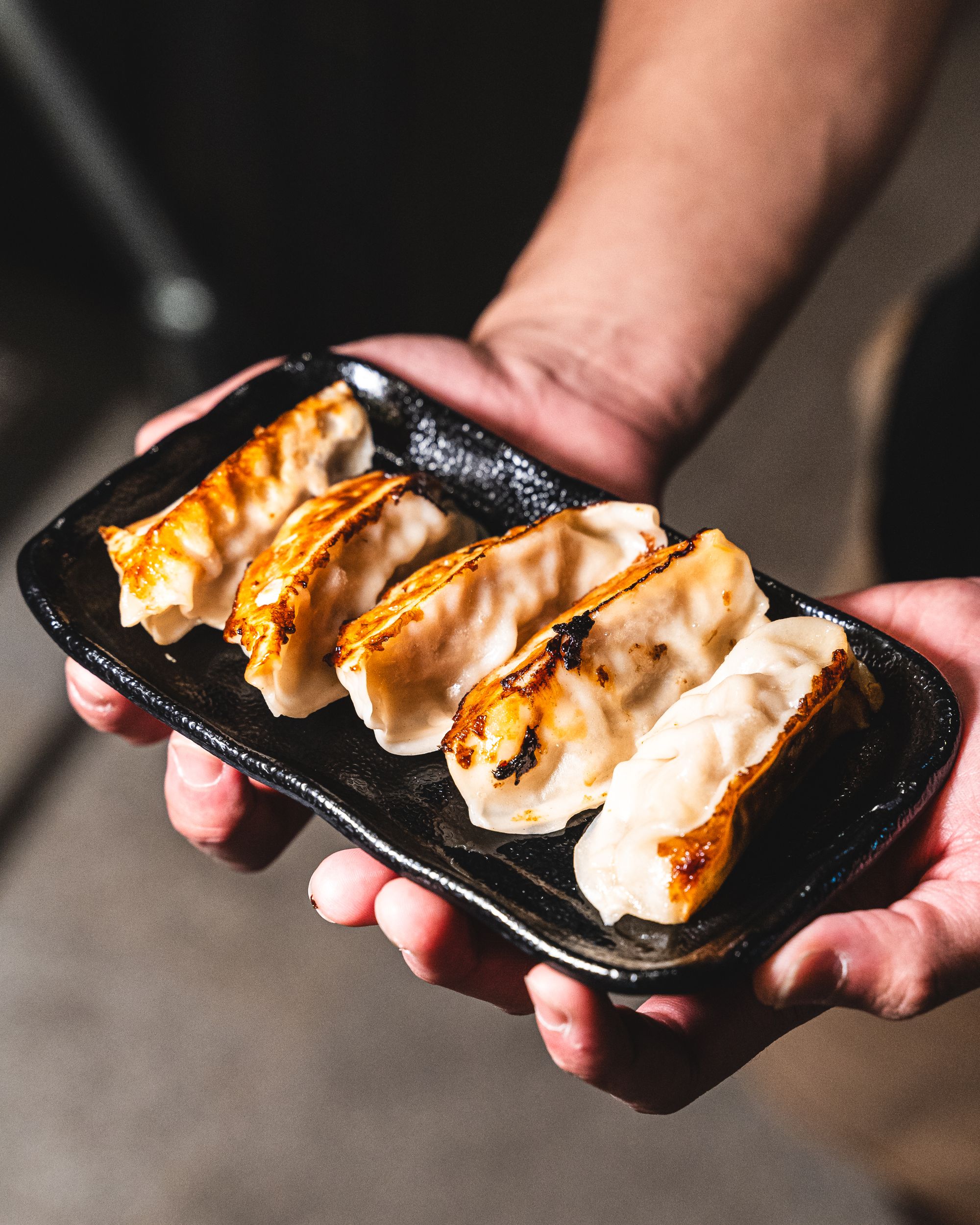 Hand holding a plate of pork gyoza