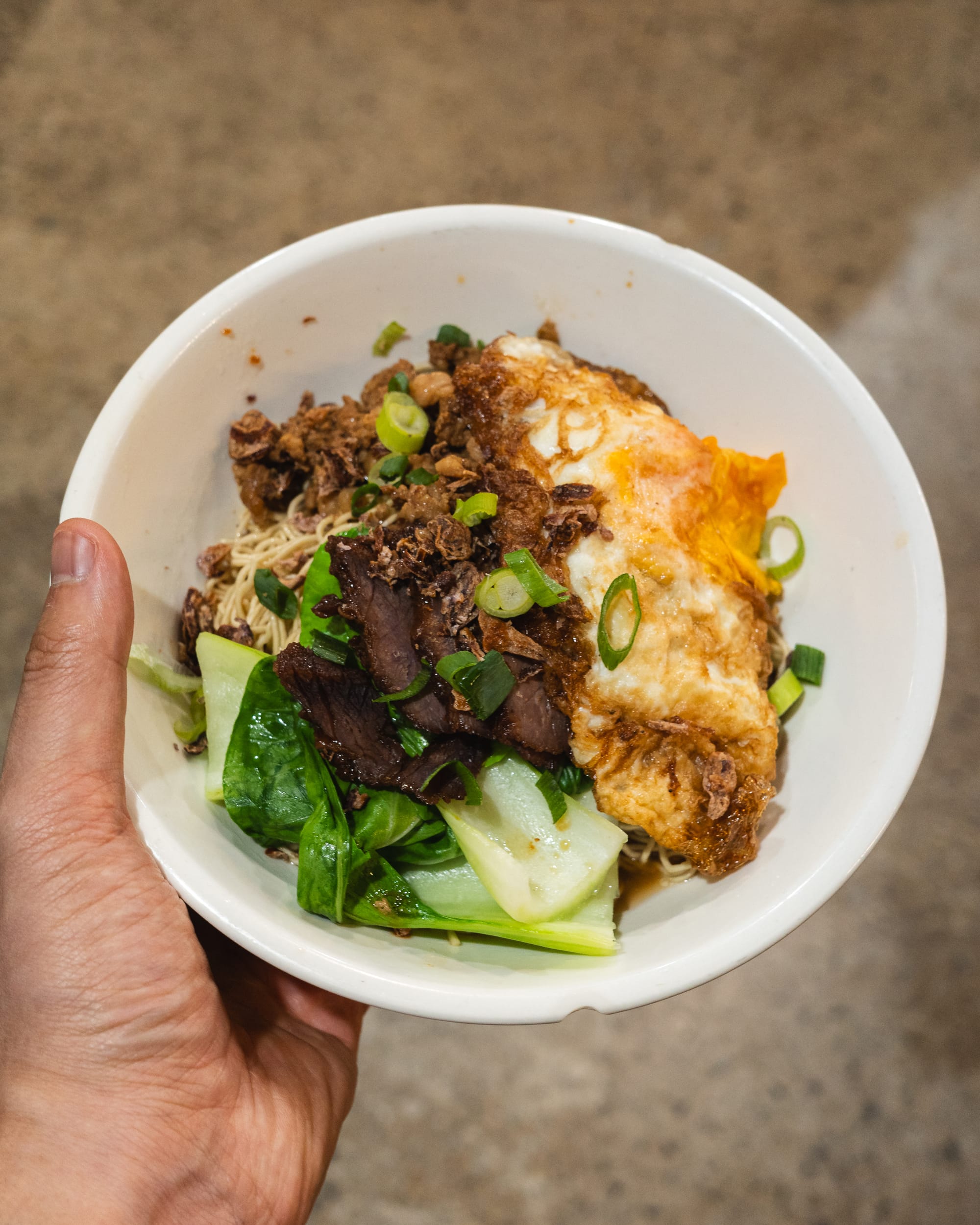 Hand holding a bowl with noodles, BBQ pork, fried egg and bok choy