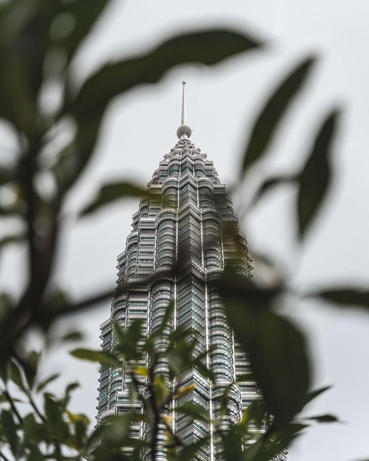 Petronas Towers with a branch used as a foreground element
