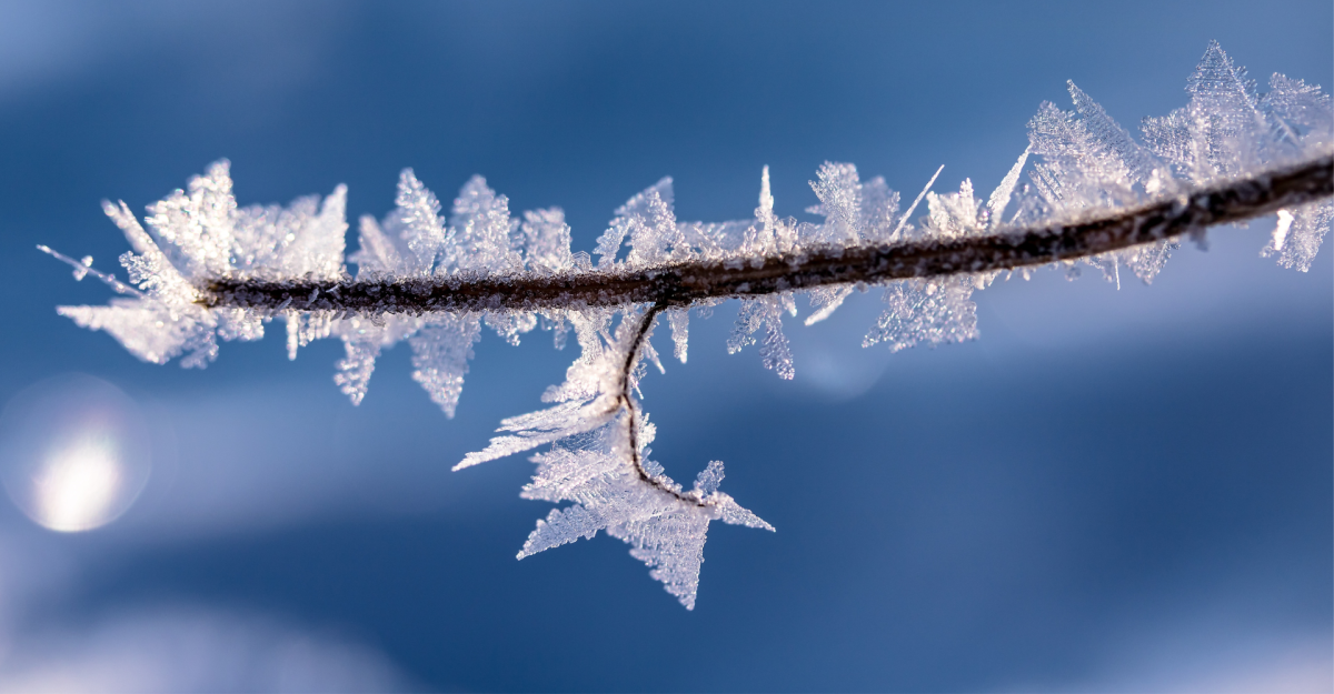 Cherokee Schools Plan Normal Schedule While Monitoring Weather