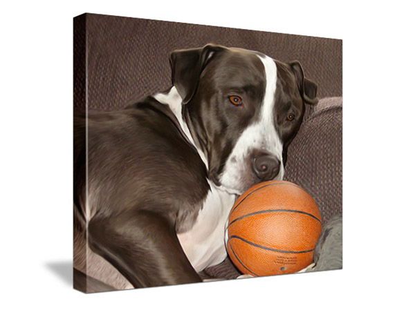 canvas of brown and white dog with basketball