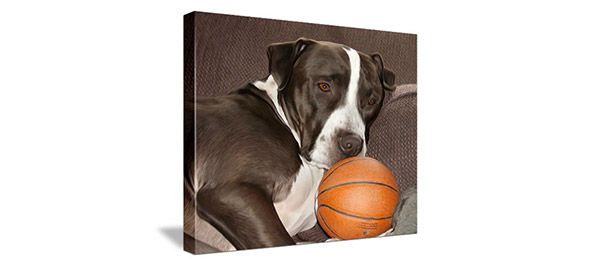 canvas of brown and white dog with basketball