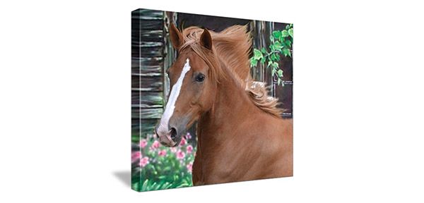 canvas of brown and white horse next to barn with pink flowers