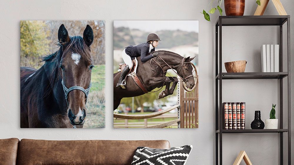 Why Metal Prints Should Be Your Go-To Choice