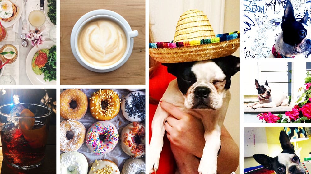 3 Apps to Help You Create a Collage On Your Phone article hero
