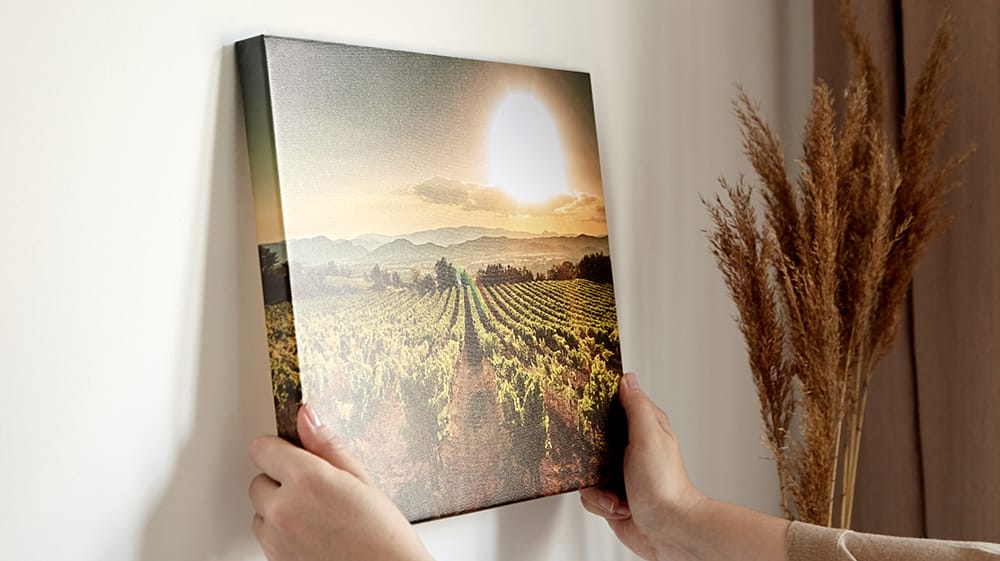 Hands hanging a canvas print of a sunlit vineyard landscape on a wall