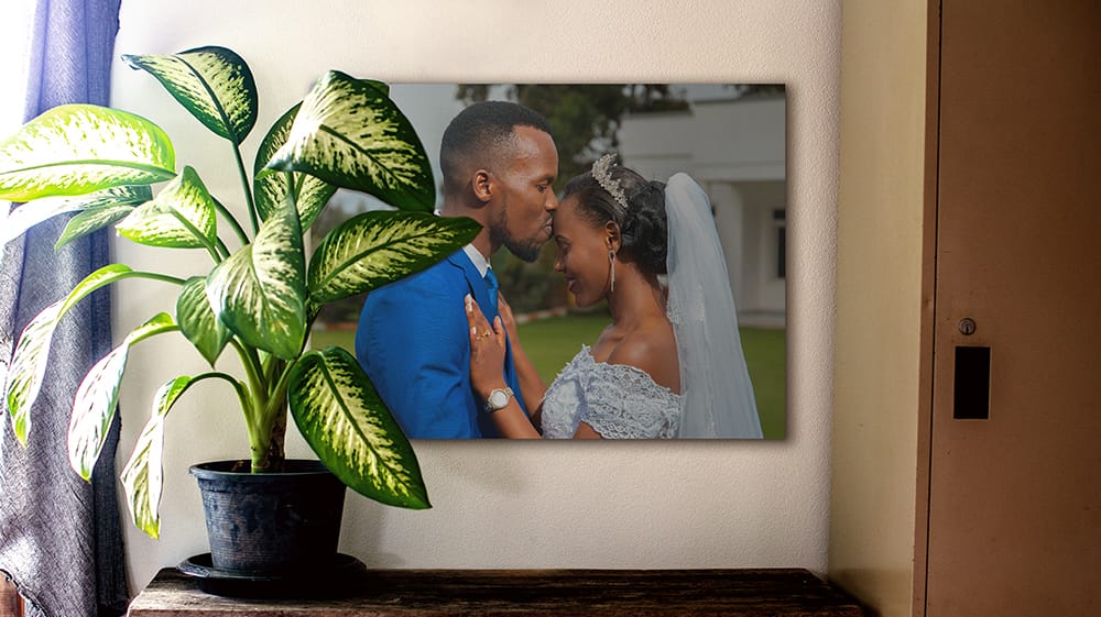 Wedding canvas print of a groom kissing his bride’s forehead, hanging beside a leafy houseplant.