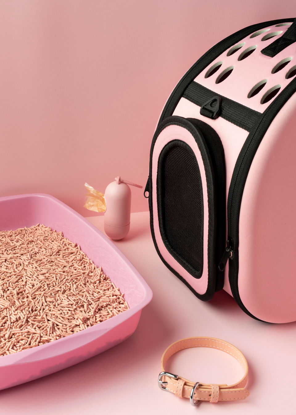 5 Best And Highly Recommended Cat Litters