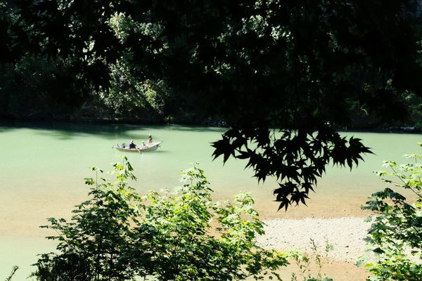 Hot, golden days with long shadows.