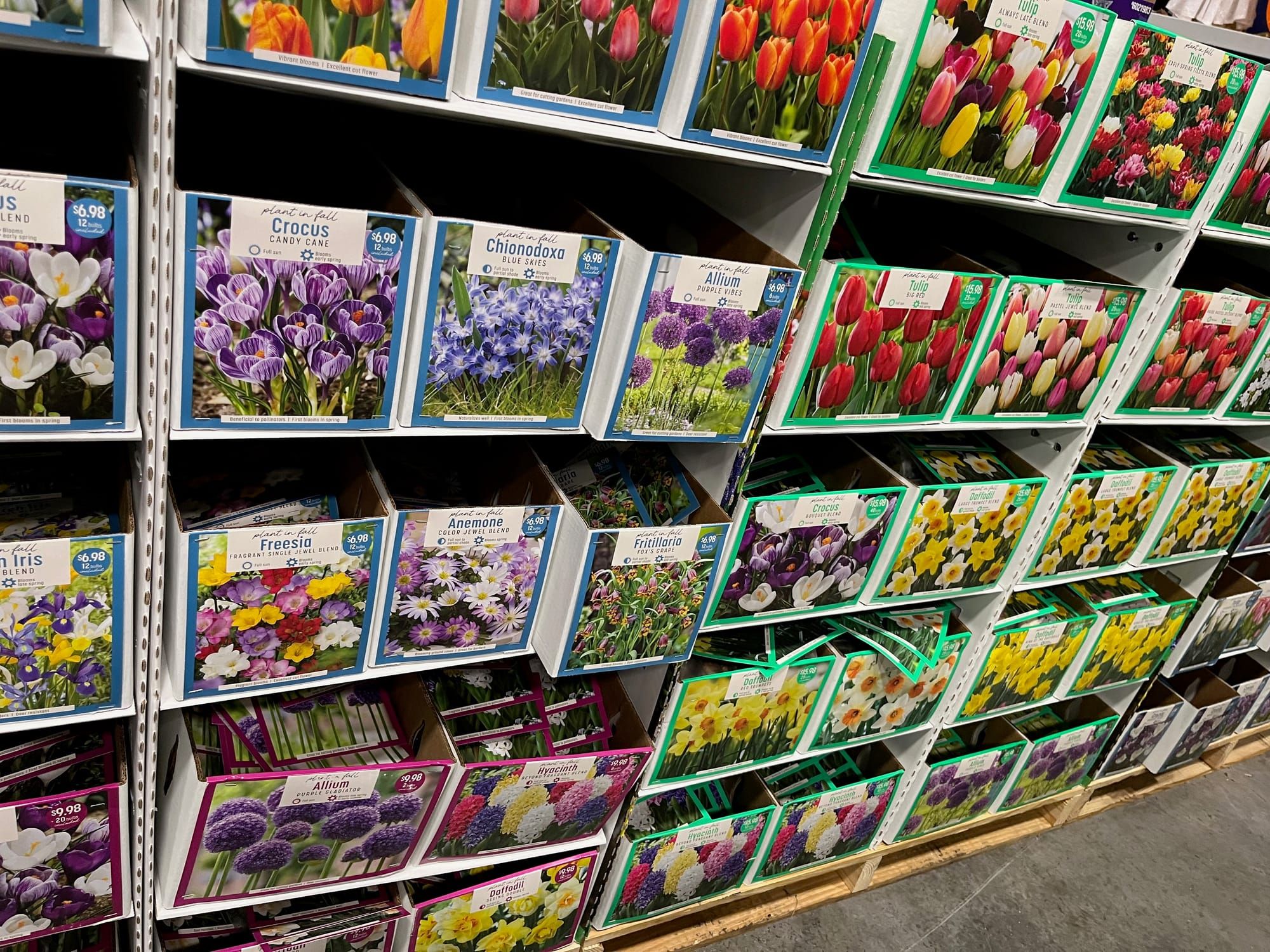 Attack of the Big Box Bulbs