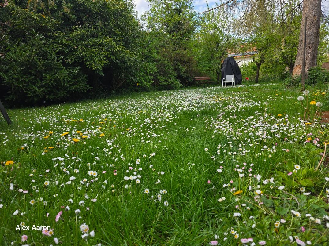 In der Natur sehen wir Wunder