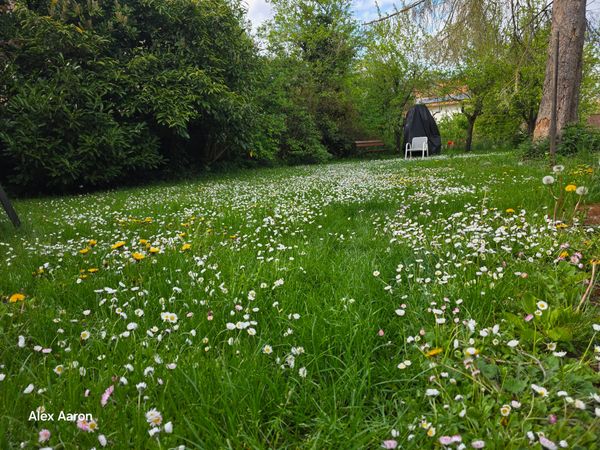 Image of: In der Natur sehen wir Wunder
