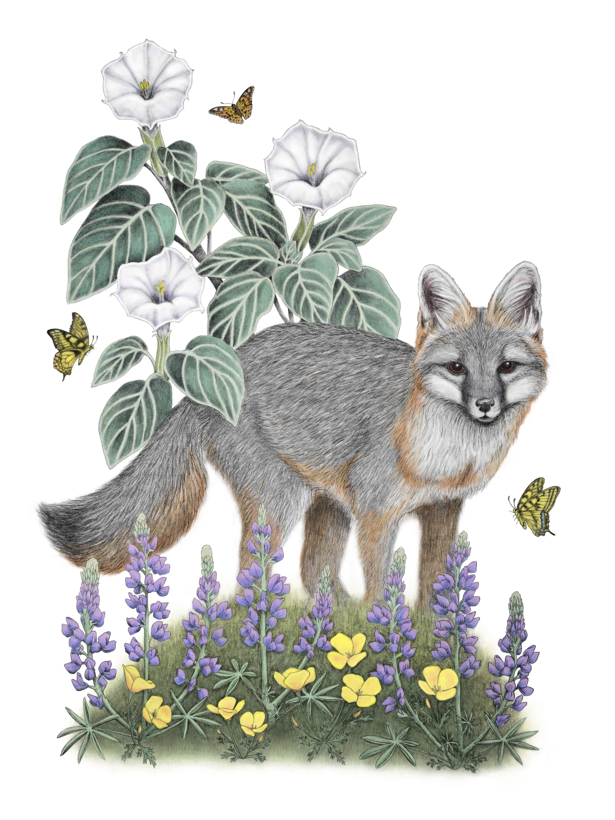 Small Fox Press