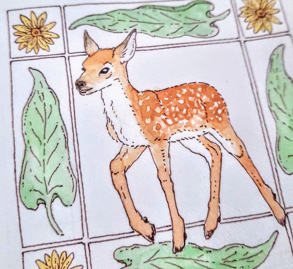 Among deer friends