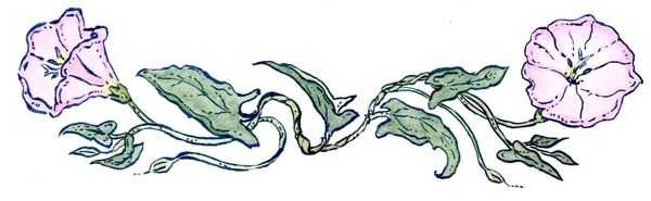 More plants, fewer robots