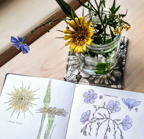 Botanicals and turning paper into pixels