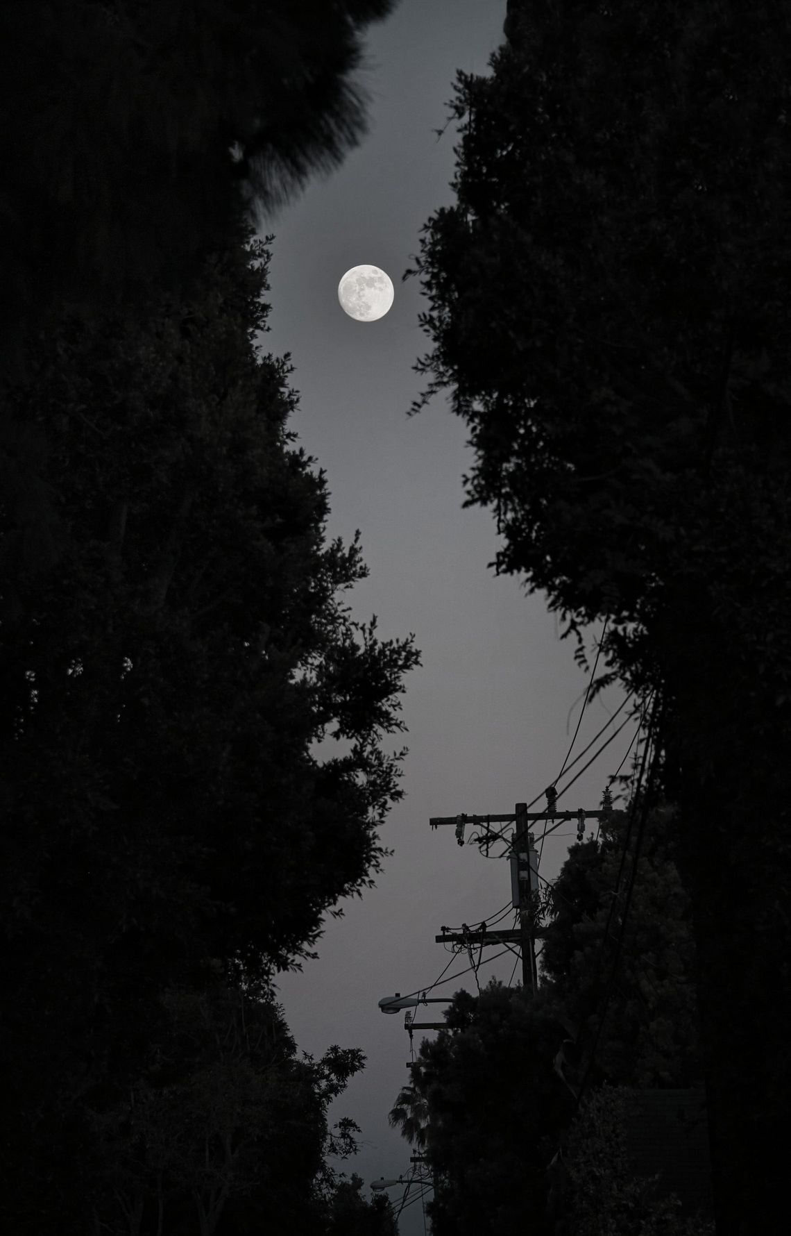 Why Does The Moon Follow Us?